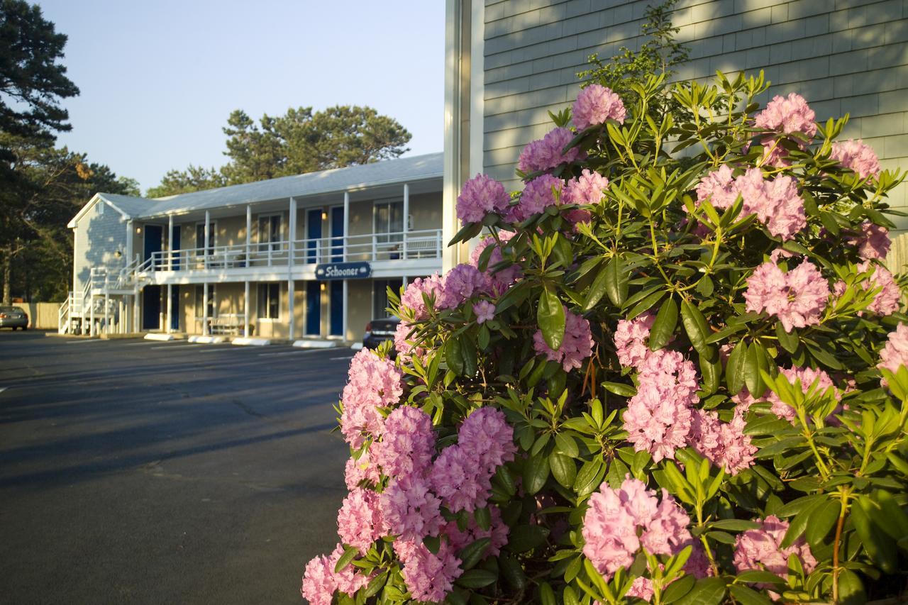 Southfleet Motor Inn Wellfleet Zewnętrze zdjęcie